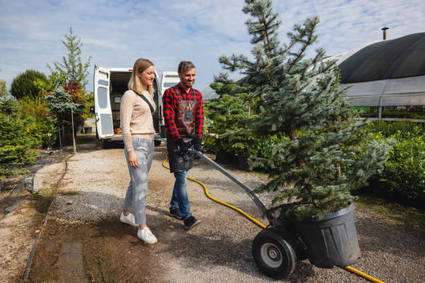 Best Pest Control for Lawns  in Palmview South, TX